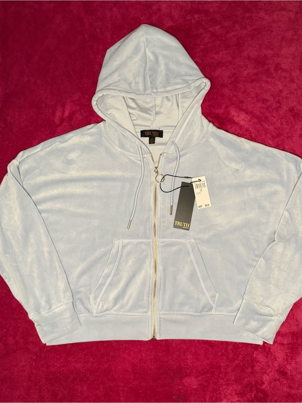 TRUTH Pale Blue Velour Zip Hoodie with Gold Hardware